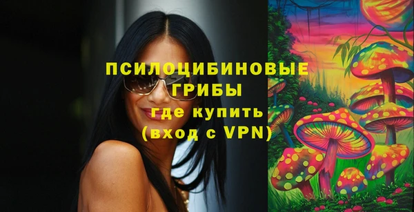 МДПВ Медногорск