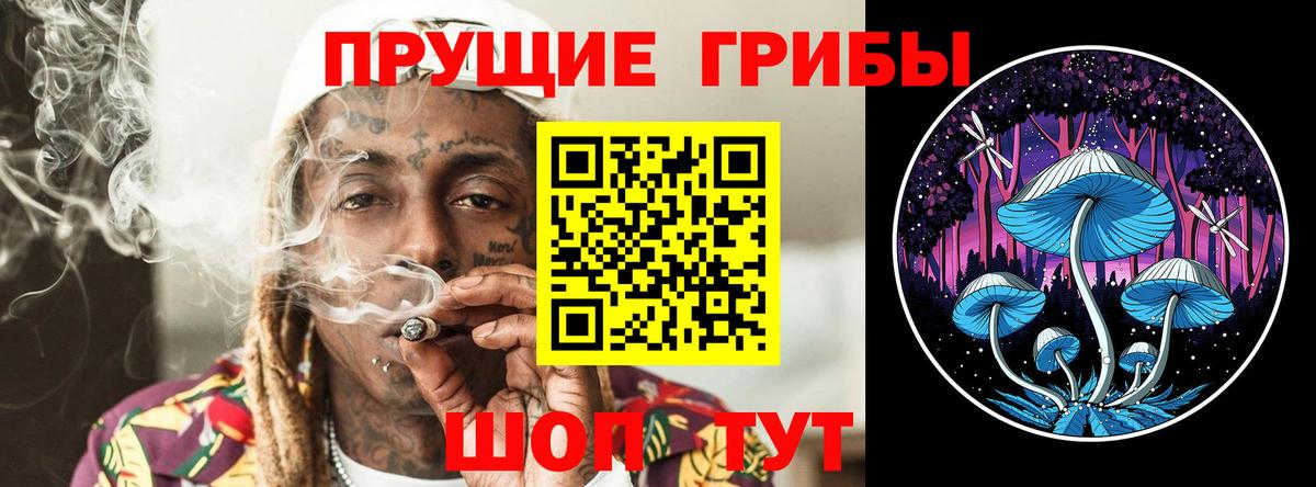 Псилоцибиновые грибы прущие грибы  Вход с VPN  Аша 